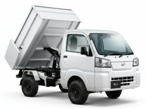 Cleaning Dump Manual