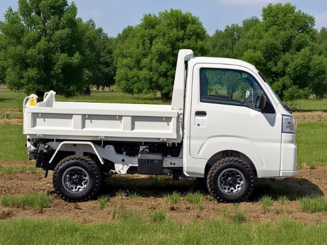 Daihatsu Hijet HD Dump model in field from right side