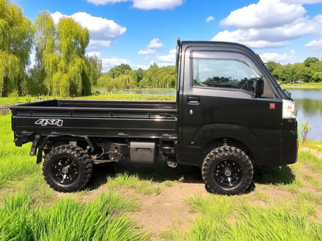 Daihatsu Hijet Regular Cab in black right side